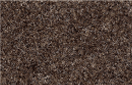Cormar Carpets Forest Hills